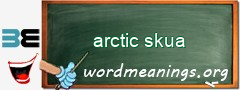 WordMeaning blackboard for arctic skua